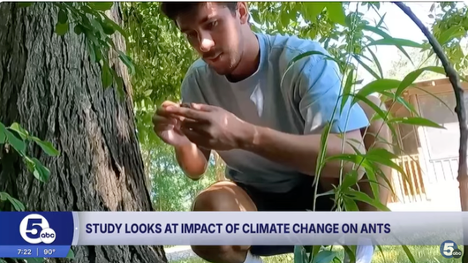 student looking for ants.png